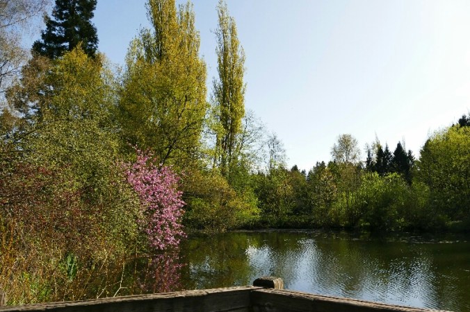 IMG_20150410_183840_e