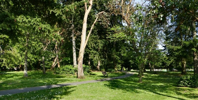 IMG_20150505_094550_e