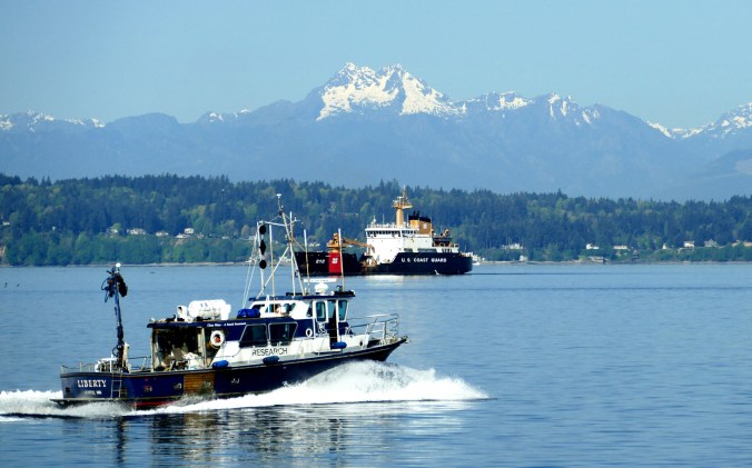 goldengardens4-20-15 207