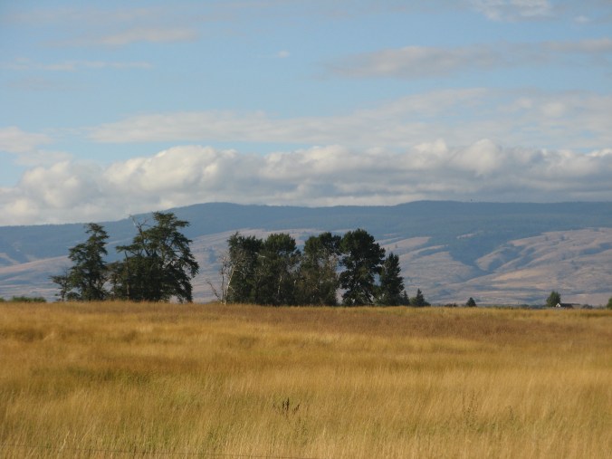 ellensburg 2013 166