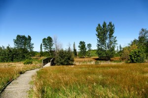 paul rogers park footbridge