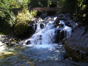 deception falls footbridge