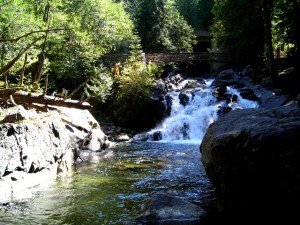 deception falls footbridge