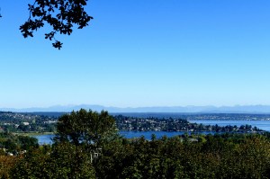 cascade view from louisa boren lookout