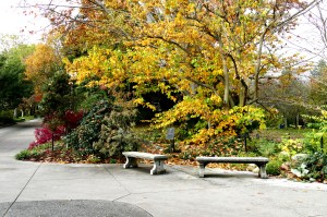 garden at ballard locks