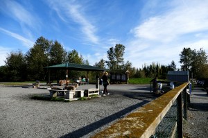 magnuson park dog park