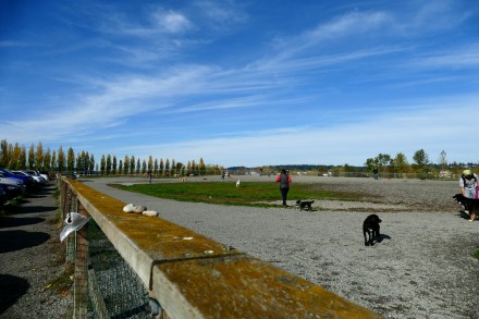 magnuson10-27-15 005