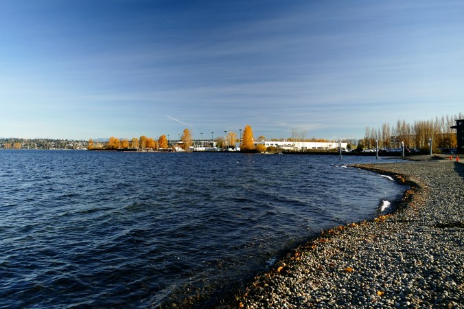 north shore beach magnuson park