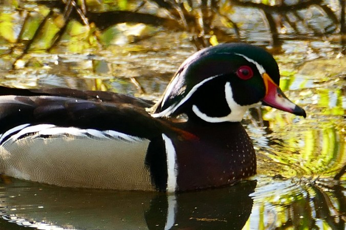 415-2015 269_20160613004712423