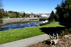 ballard locks and commodore park