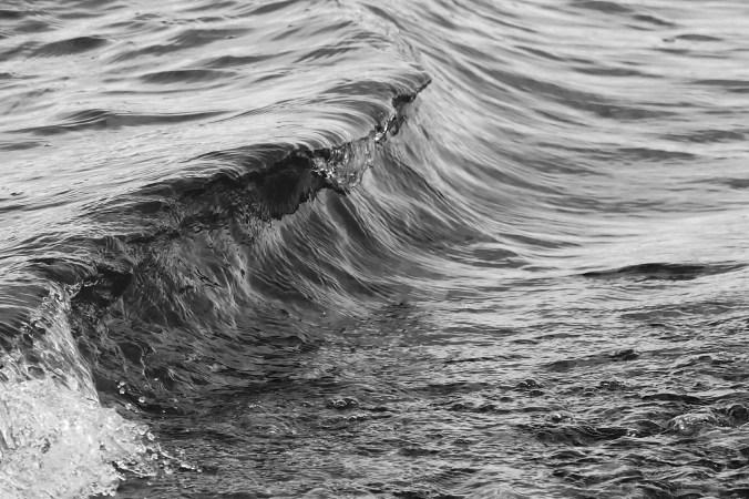 magnuson4-6-16-100_20161006141923110