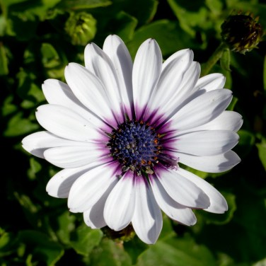 ruthurbanouting9-24-16-027