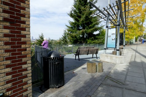 Mt. Baker Ridge Viewpoint.