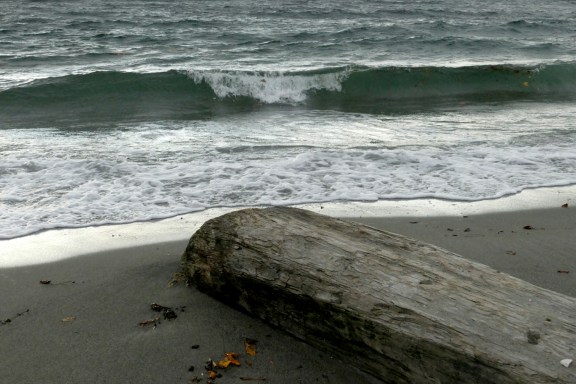 goldengardens11-12-2016-315