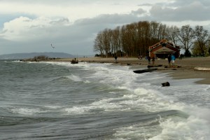 golden gardens in seattle