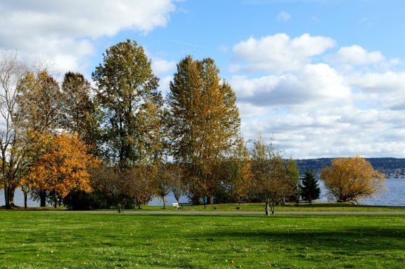 magnuson11-11-15-092