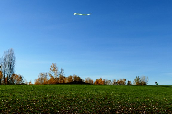 magnuson11-21-15-045