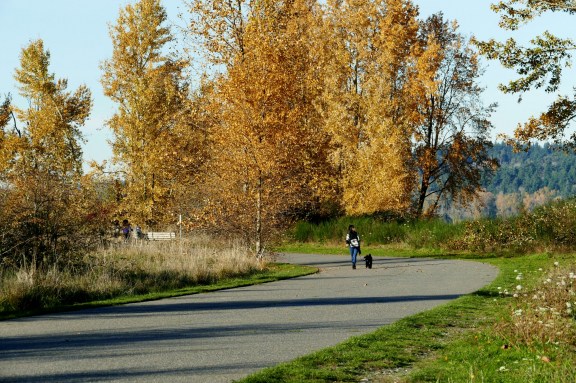 magnuson11-21-15-057