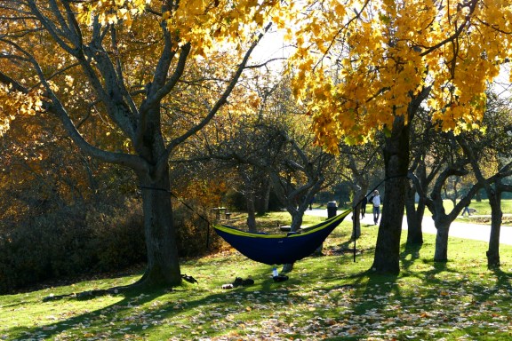 This person knows how to relax at a park!