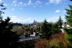 seattle skyline from mt. baker ridge viewpoint