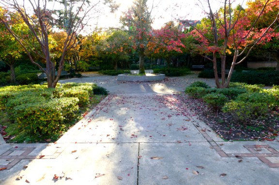 julia lee's park seattle