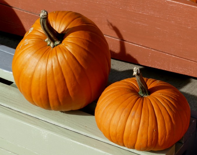 walktober10-22-16-009