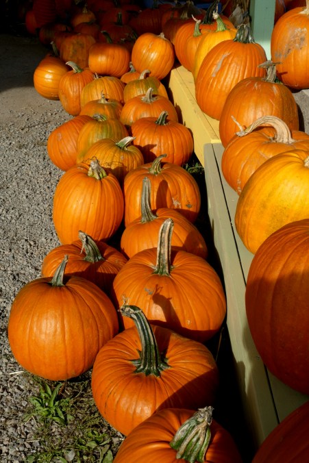 walktober10-22-16-024