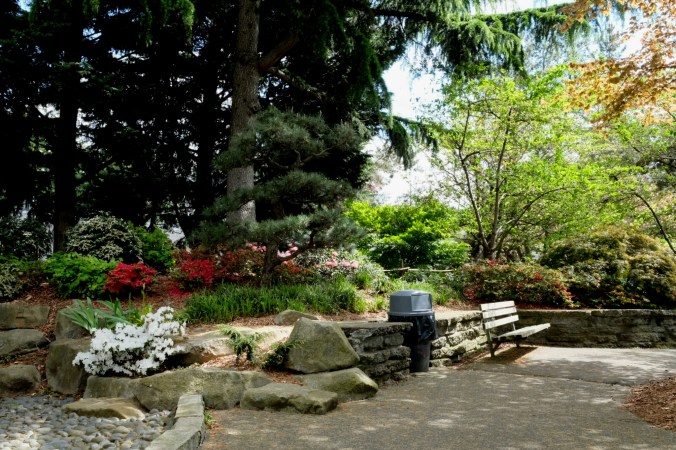 kobe terrace park in seattle