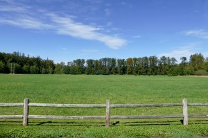 river meadows county park arlington