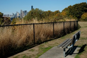 seattle 12th avenue south viewpoint