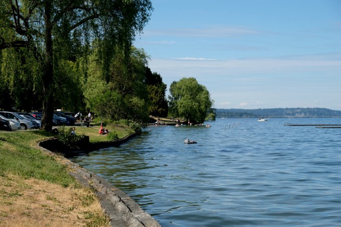 madrona park in seattle