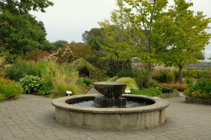 uw center for urban horticulture garden in seattle