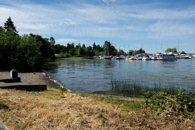 lakewood marina park in seattle