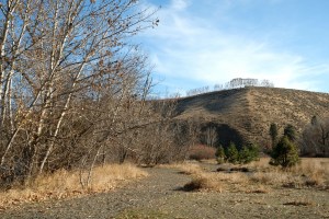 mccabe state park near ellensburg