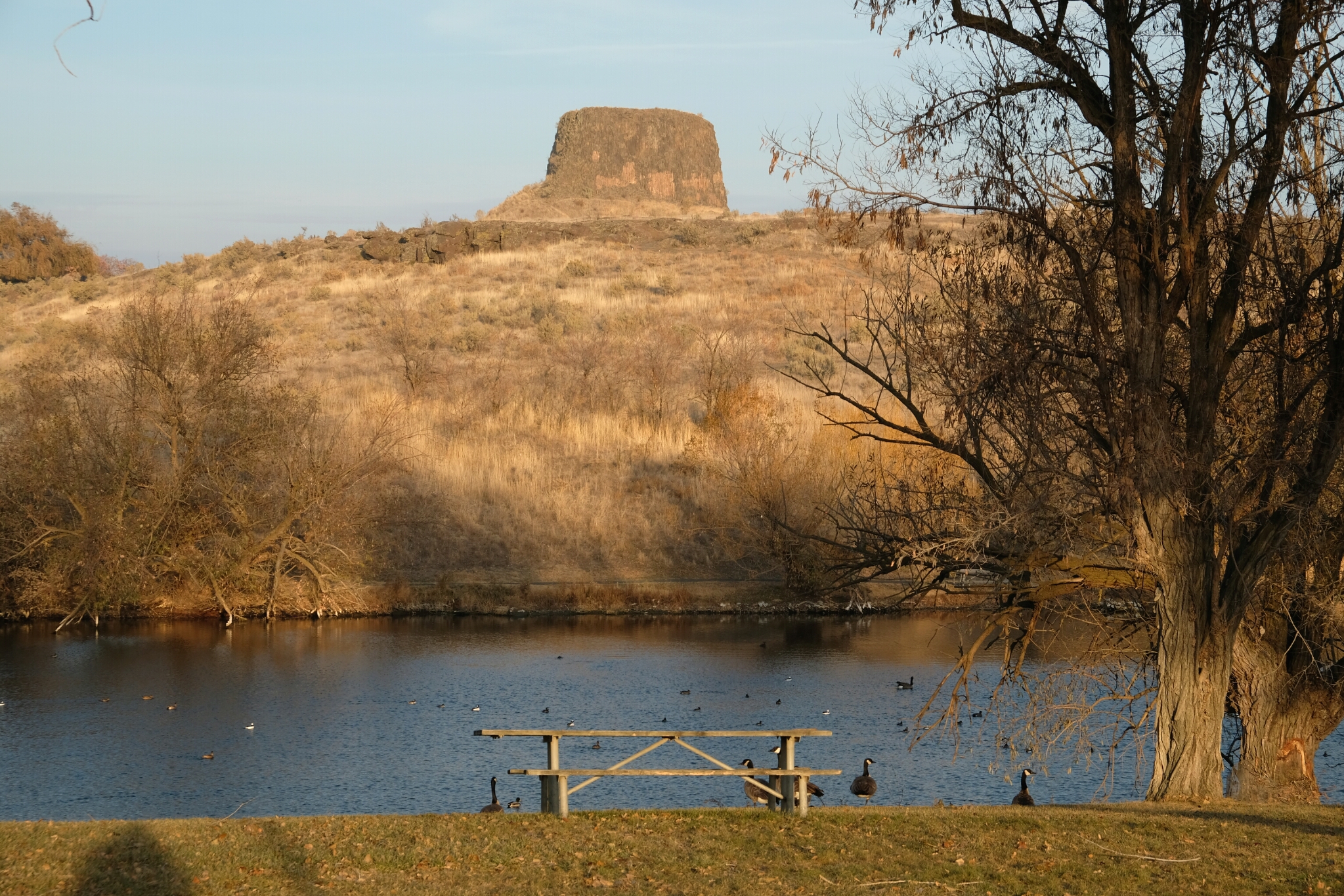 On the Road: Hat Rock State Park near Hermiston, Oregon | Park Preview, image size:2047x1365