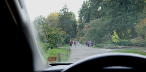 washington park arboretum in seattle