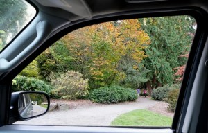 seattle washington park arboretum